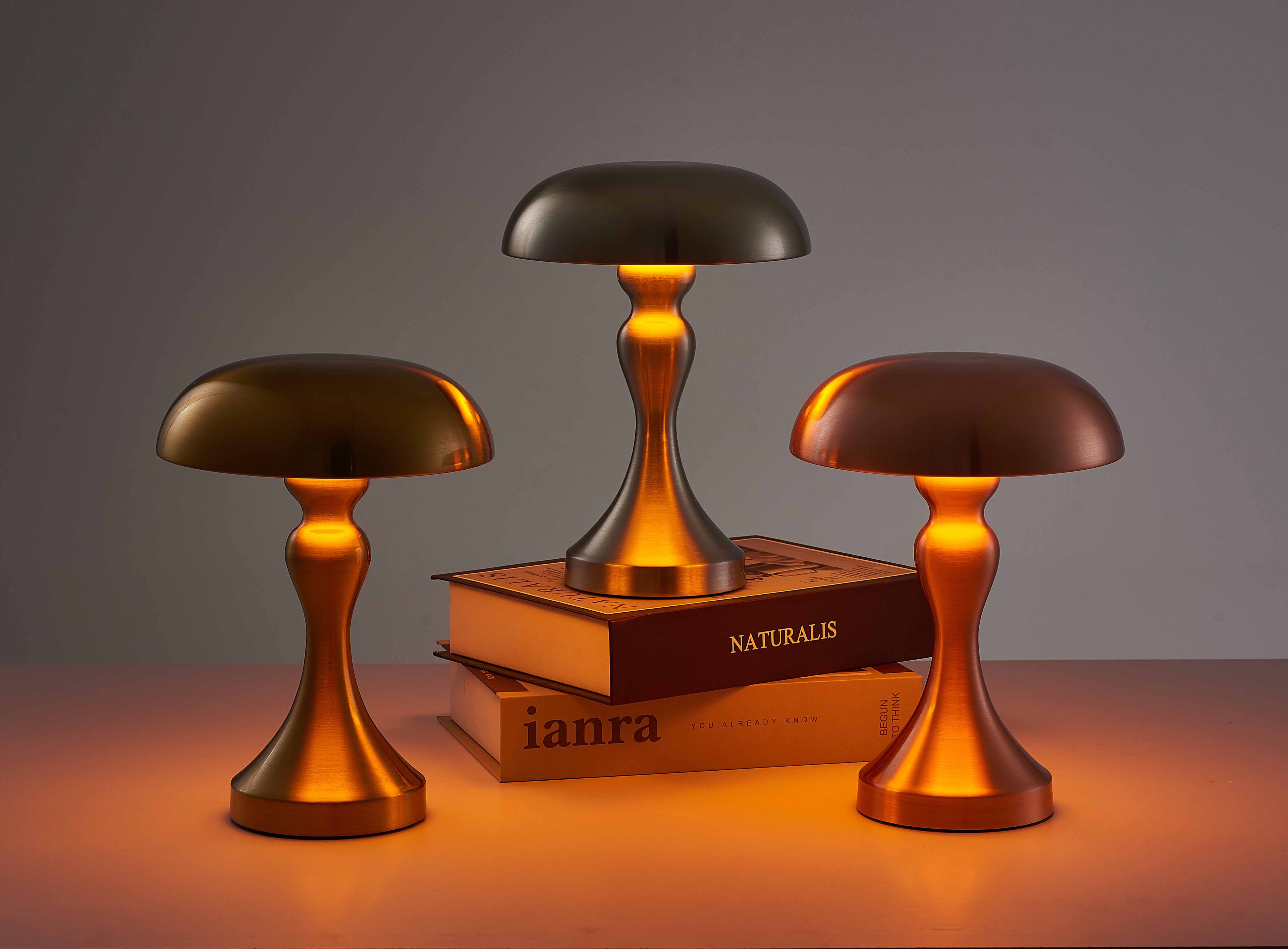 Lampe de Bureau Champignon Rechargeable - Vezir