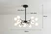 Noir A 18 light