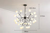 Noir B 36 light