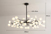 Noir A 54 light