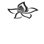 Plafonnier LED Lotus design floral moderne avec lumière tricolore.